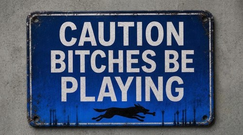 Bitches playing road - bitches,